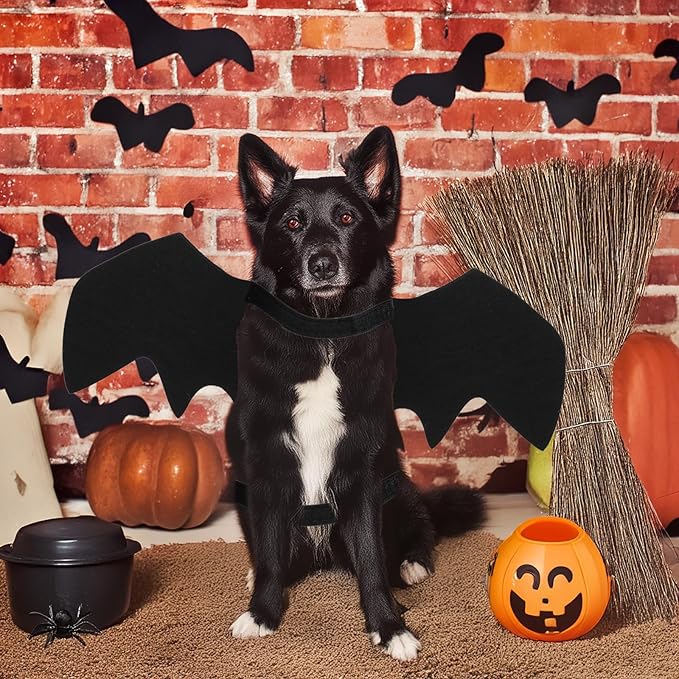 Halloween Cat Costume Black Felt Bat Wings Costume for Halloween Party Decoration