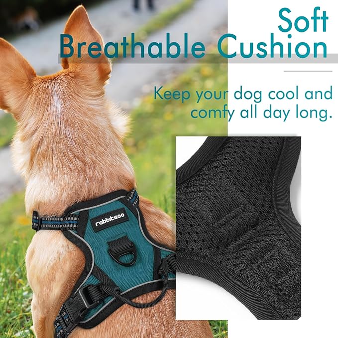 rabbitgoo Dog Harness 2 Leash