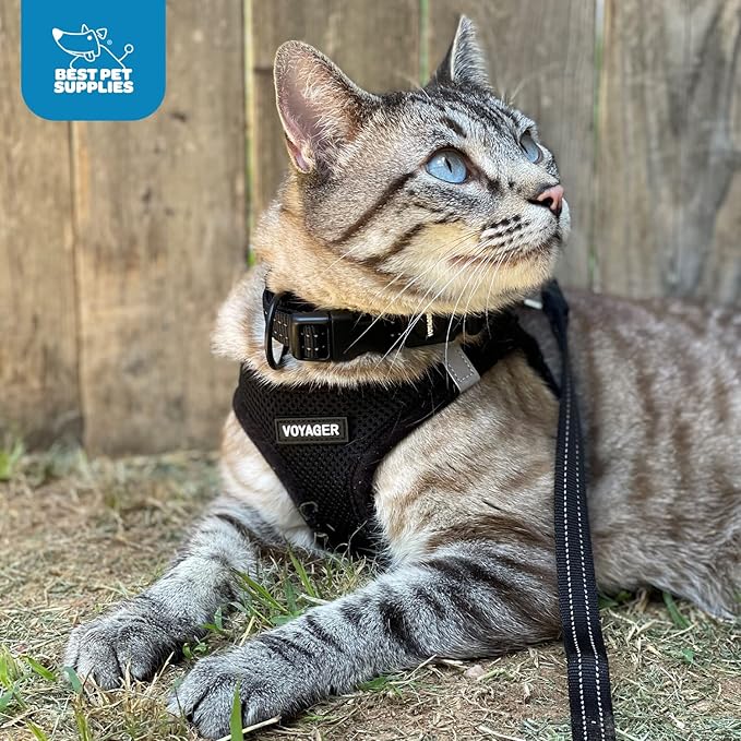 Voyager Step-in Air Dog Harness 13-14.5")
