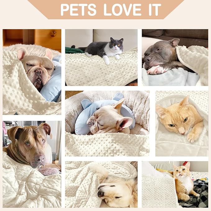 YUSRA Small Weighted Blanket for Dogs 40 * 47inch 6lbs)