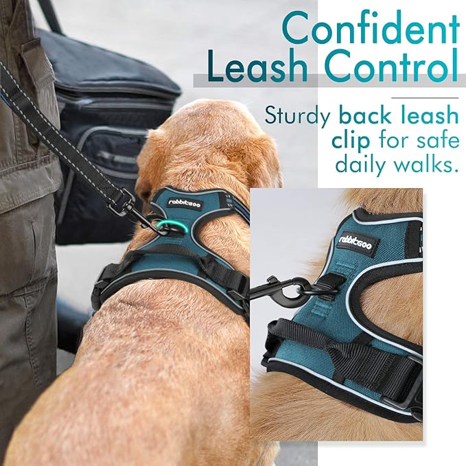 rabbitgoo Dog Harness 2 Leash