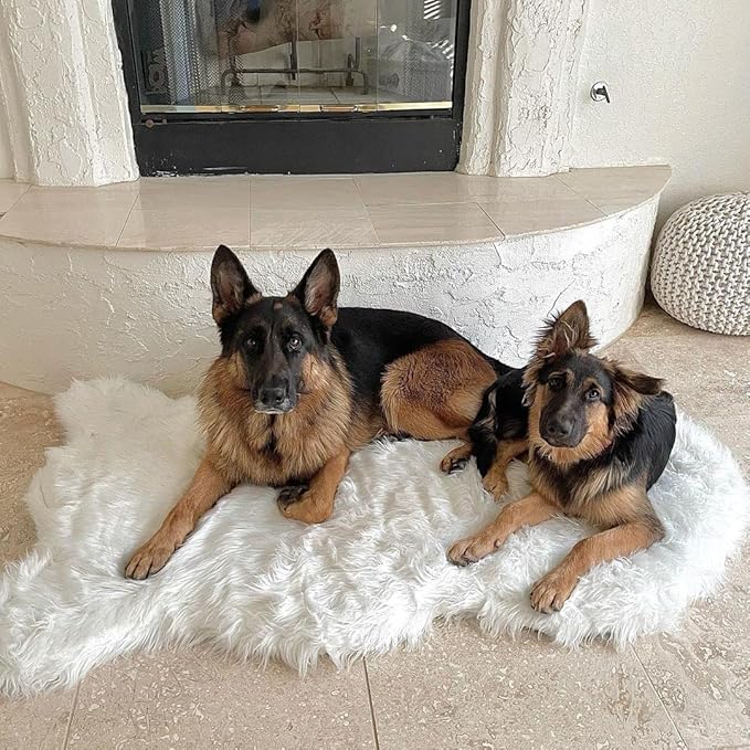 PupRug Orthopedic Dog Bed for Large Dogs with Fluffy Soft Faux Fur and Memory Foam for Joint Pain Relief