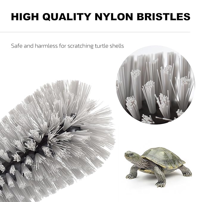 Turtle Brush with Suction Cup