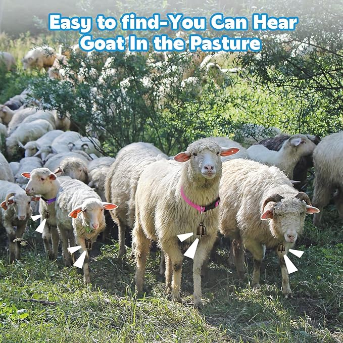 8 Pack Goat Collar with Bell