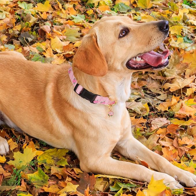 Cotton Handmade Dog Collar Cute and Distinctive Patterns
