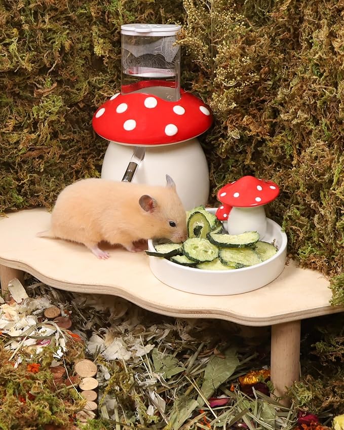 Niteangel Hamster Snack & Treats Toy