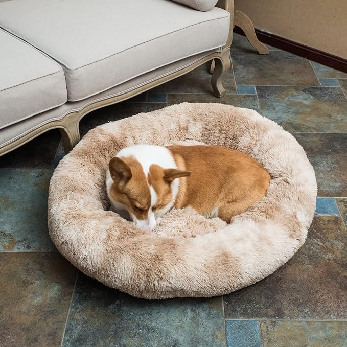 Oval Calming Donut Cuddler Dog Bed Bed(30"/36"/43") for (L(30"x24"x7"), Beige2021)