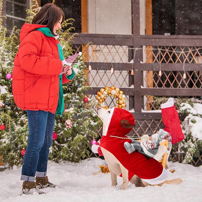 BWOGUE Santa Dog Costume Christmas Pet Clothes Santa