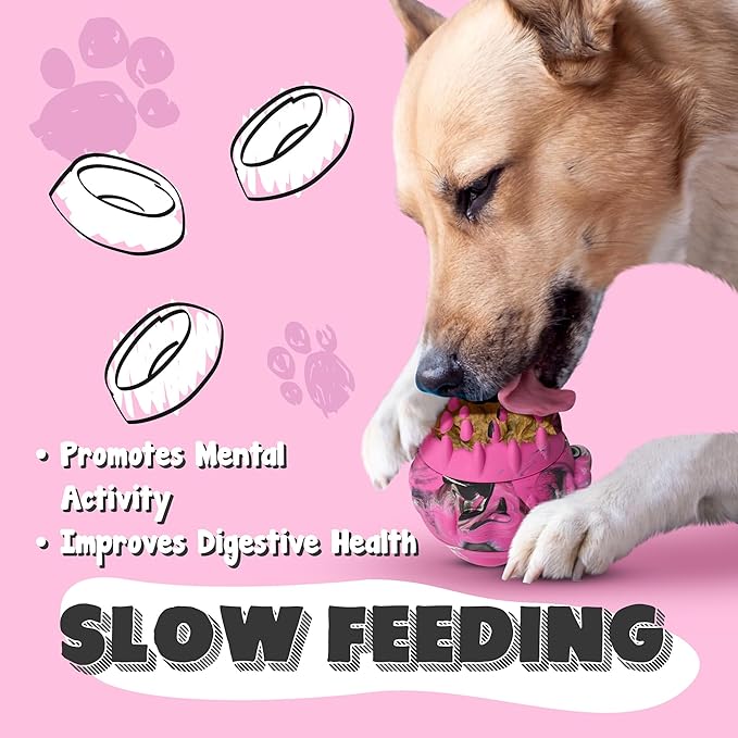 4-In-1 Interactive Frozen Dog Toy Treat