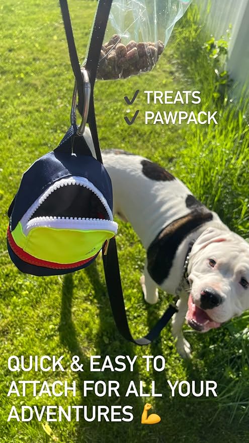 LLC Dog Backpack