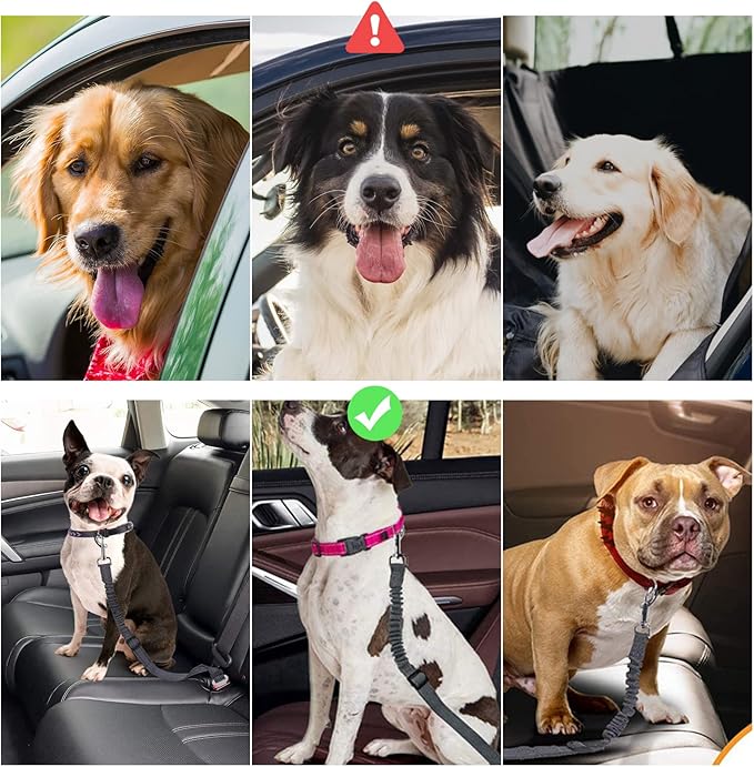 Dog Seat Belt with Elastic Bungee Buffer