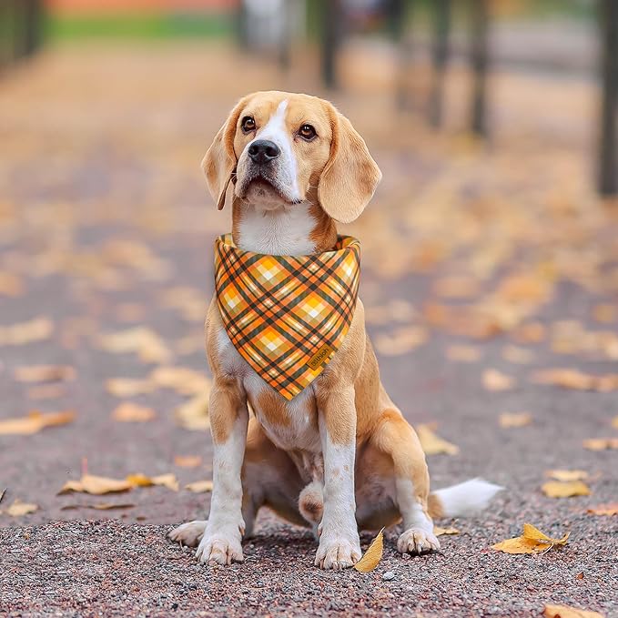 Fall Dog Bandanas 2 Pack