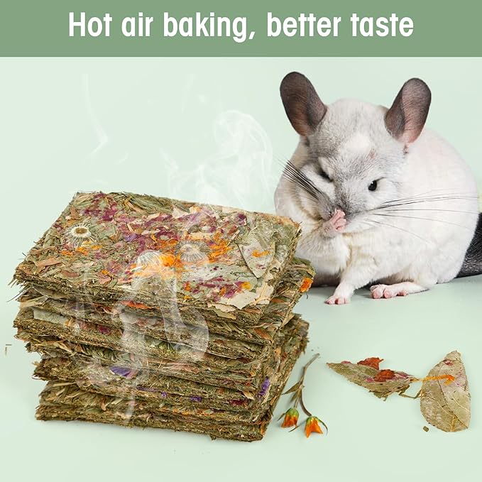 Abizoo Rabbit Natural Treats 10Pcs Timothy