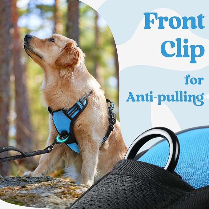rabbitgoo Dog Harness for Large 3 Buckles,