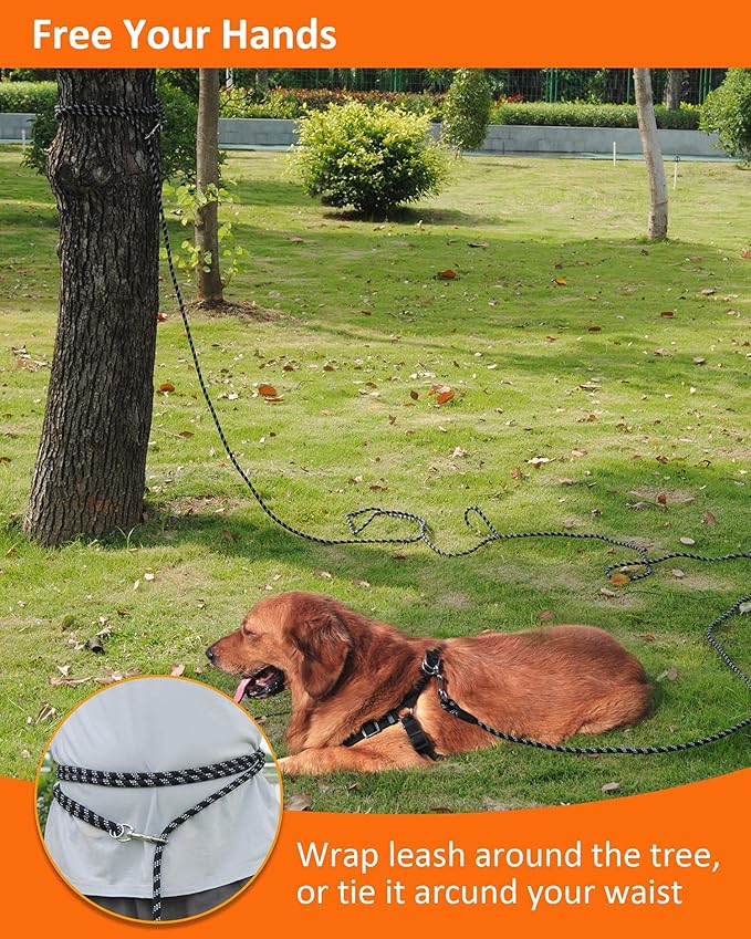 Long Dog Leash for Dog Training 10FT 16FT/30FT/50FT/100FT