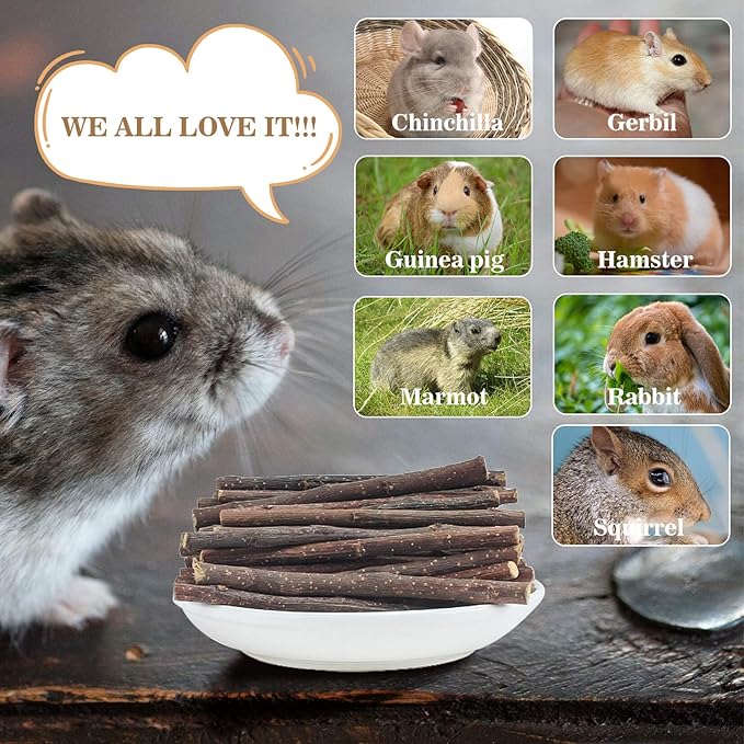 Sukh Natural Organic Apple Sticks 250g Hamster