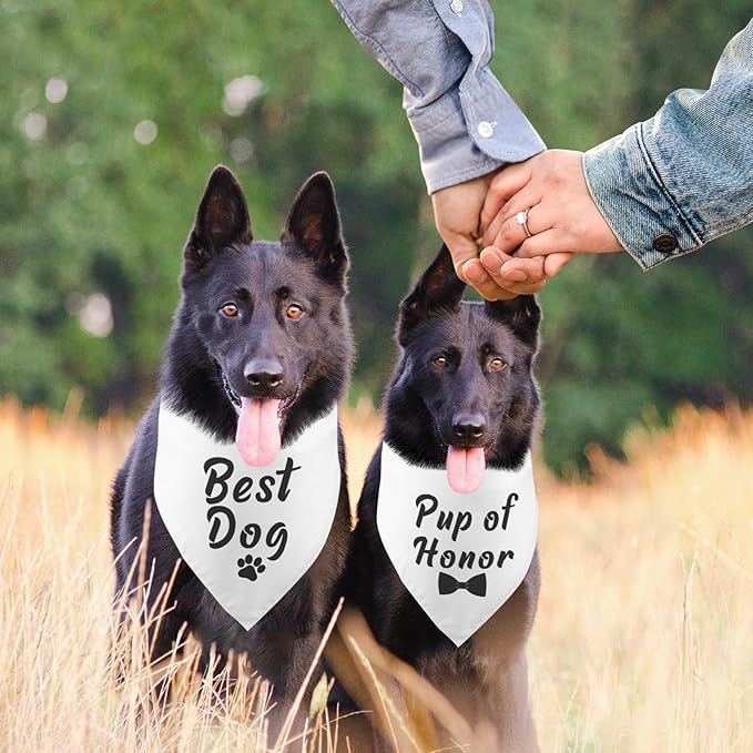 2 Pack Pup of Honor Best Dog Wedding Engagement Dog Bandana Proposal Ideas Dog Wedding Engagement Bandana Announcement Pet Accessories for Dog Lover