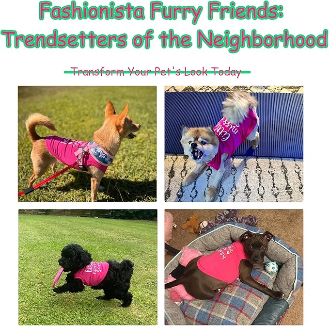 Paiaite Dog Clothes Fashionable Sleeveless Pet Vest: 'Little Miss Sassy' Printed Cotton Dog Shirt, Ideal for Small, Medium, and Large Breeds, Ensuring Comfort and Breathability Rose Red 4XL