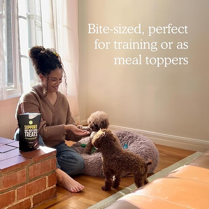 Get Joy Freeze Dried Superfood 100% Beef Liver Dog Treats 4 Ounce
