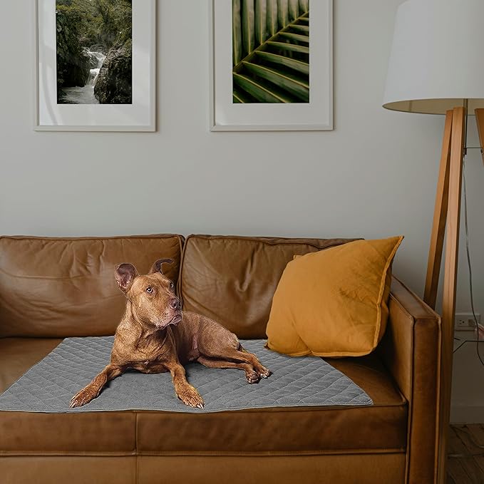ariika Waterproof Dog Sofa Mat