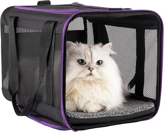 petisfam Soft Pet Carrier for Large and Medium Cats 2 Kitties,