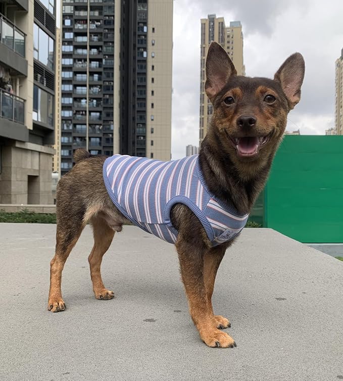 YQYS Dog Shirts Multi-Color Striped Cotton Vest for Small Dogs and Cats Puppy Clothes Teacup Dog Clothing Tank Top for Chihuahua Miniature Pinscher Blue Large