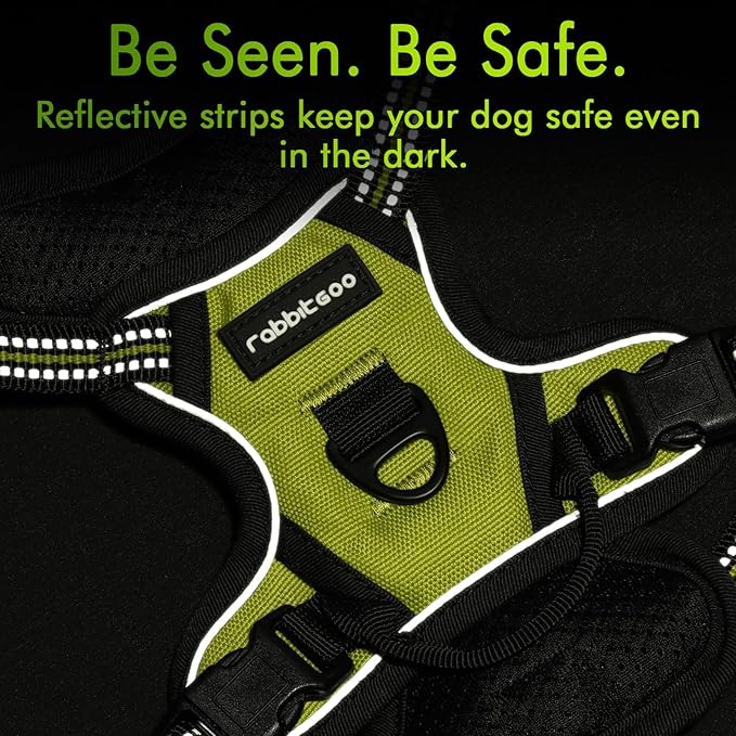 rabbitgoo Dog Harness 2 Leash
