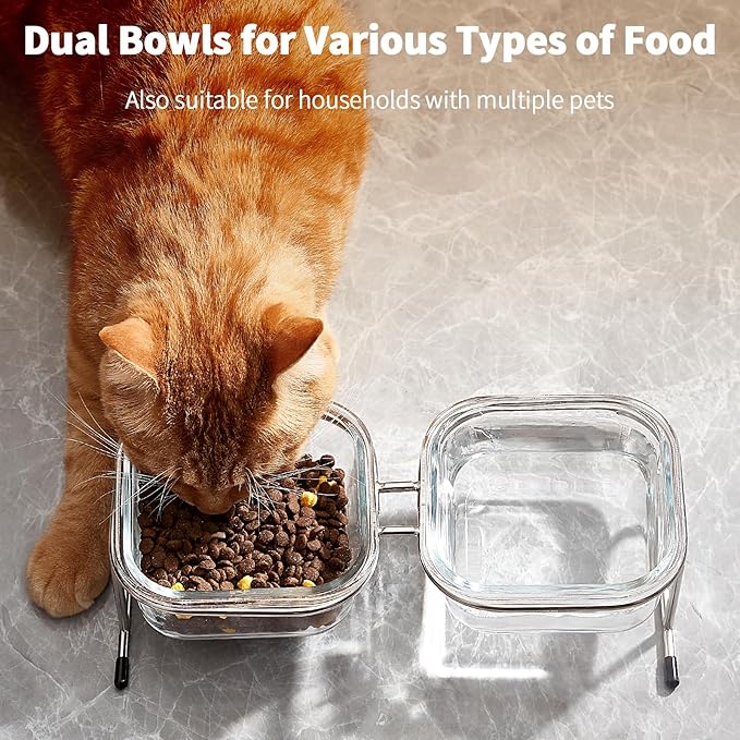 Elevated Cat Bowls 15° Tilted 2 Large 4 Anti