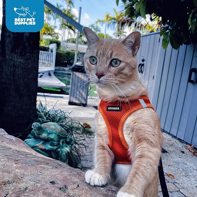 Voyager Step-in Air Dog Harness 13-14.5")