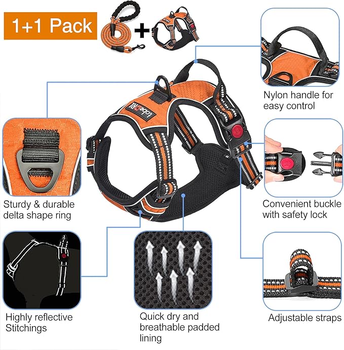 tobeDRI No Pull Dog Harness Adjustable Reflective Oxford Easy Control Medium Large Dog Harness with A Free Heavy Duty 5ft Dog Leash (S (Chest: 17.5"-21"), Orange Harness+Leash)