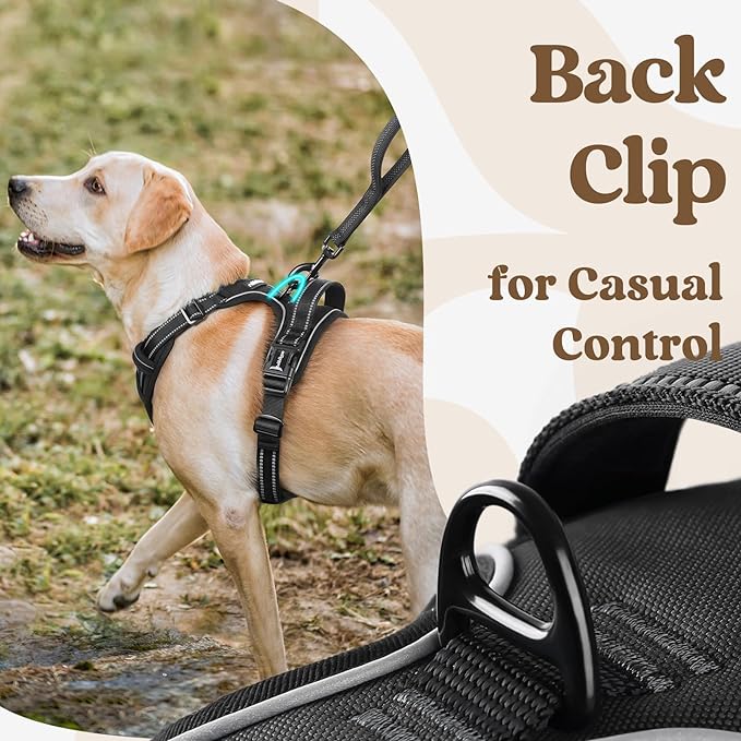 rabbitgoo Dog Harness Medium Sized 3 Buckles,