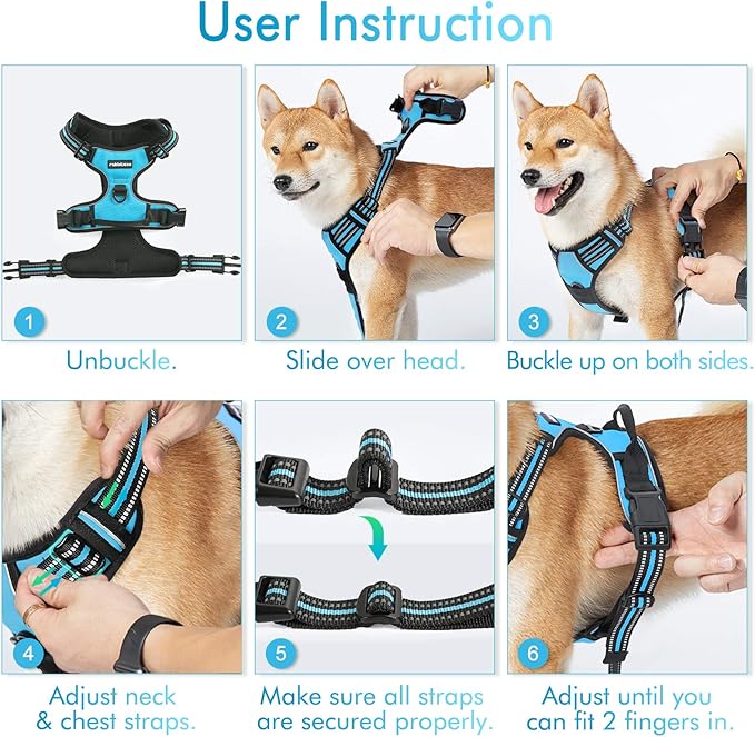 rabbitgoo Dog Harness 2 Leash