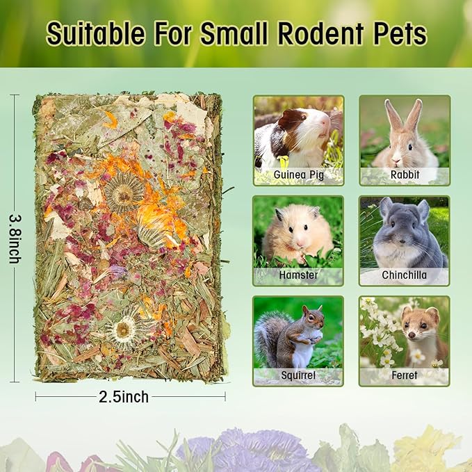 Abizoo Rabbit Natural Treats 10Pcs Timothy