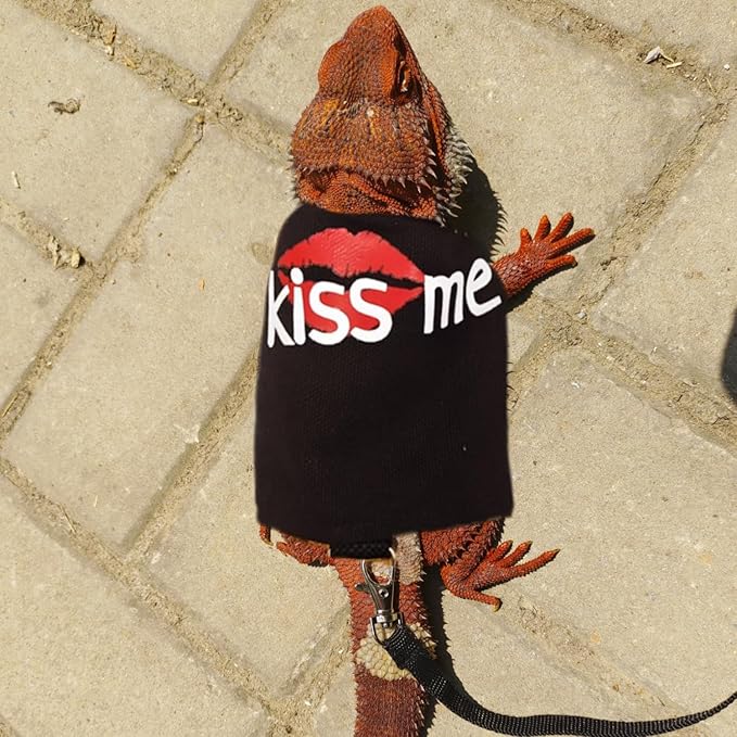 Bearded Dragon Leash and Harness Adjustable