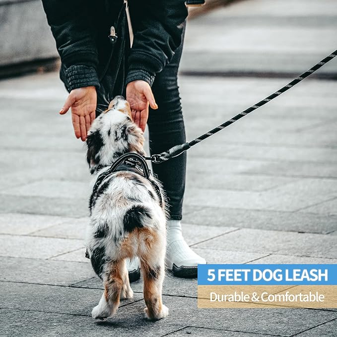 BAAPET 2/4/5/6 FT Dog Leash with Comfortable Padded Handle and Highly Reflective Threads for Small Medium and Large Dogs (5FT-1/2''