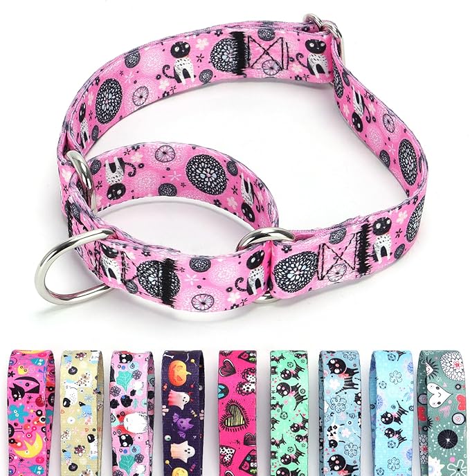 Martingale Dog Collars (6, M)