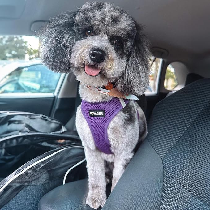 Voyager Step-in Air Dog Harness 14.5-16")