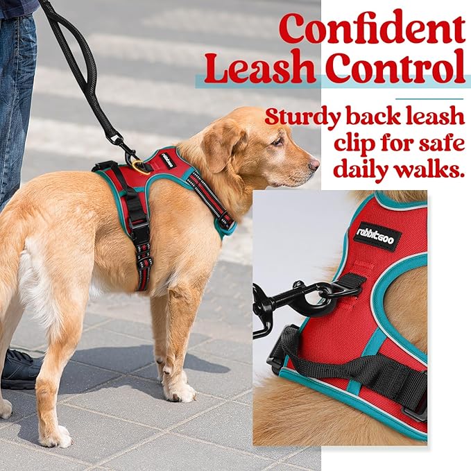 rabbitgoo Dog Harness 2 Leash