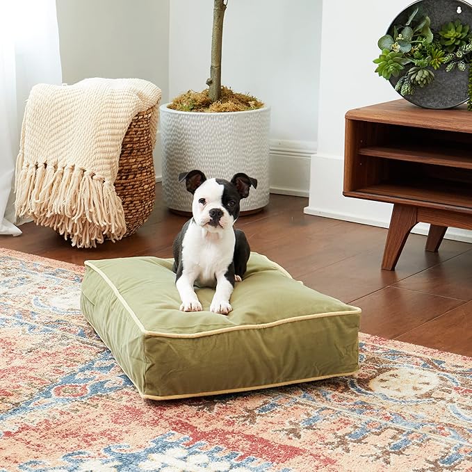 Happy Hounds Buster Reversible Rectangle Pillow Style Dog Bed (24 x 18 in.),