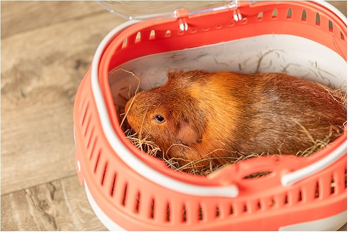 TRIXIE Pico Transport Crate, Small Pet Carrier, Portable Travel Carrier, for Small Pets, Hamsters, Guinea Pig, Lizards