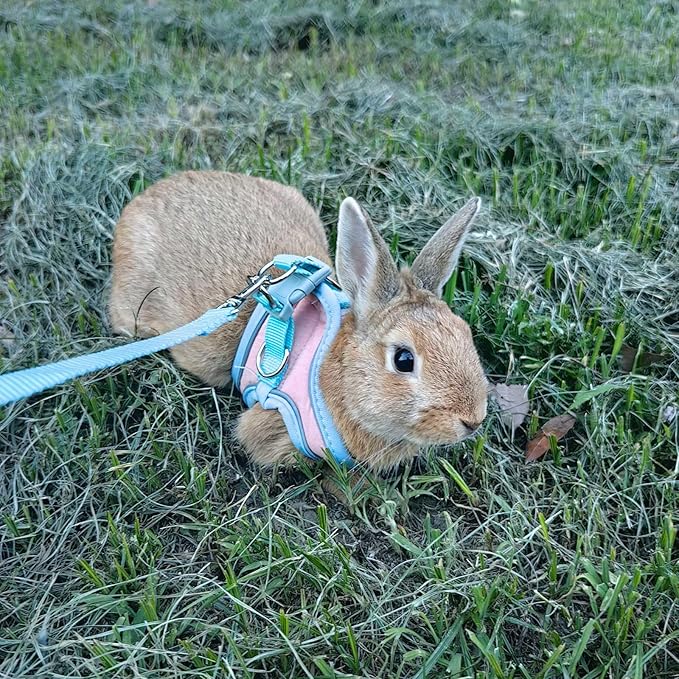 Adjustable Bunny Harness and Leash Set Double Buckle with Reflective Strips Rabbit Vest Pets Stuff Suitable for Rabbit Walks Accessories (Powder Blue