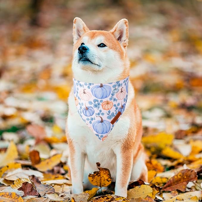 ADOGGYGO Thanksgiving Dog Bandana