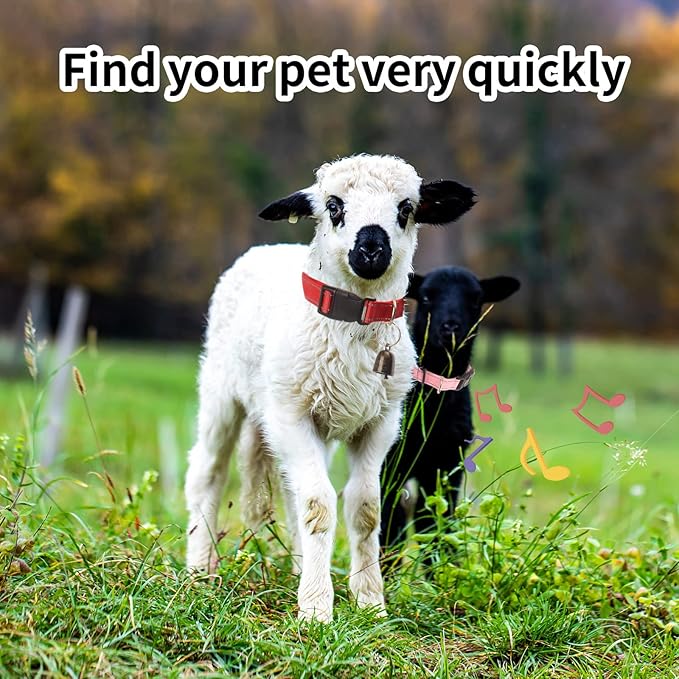 5 Pack Goat Collar with Bell