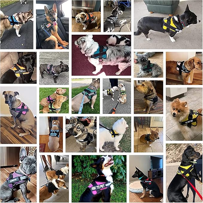 Bolux Dog Harness 1)