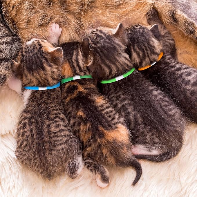 Nezyo 300 Count 18.5 Inch Puppy Collars Paper Dog Collars Whelping Collars Puppy ID Collars Colored Adhesive Pet Identification Collars for Newborn Puppy Small Pet Dog Cat 10 Colors