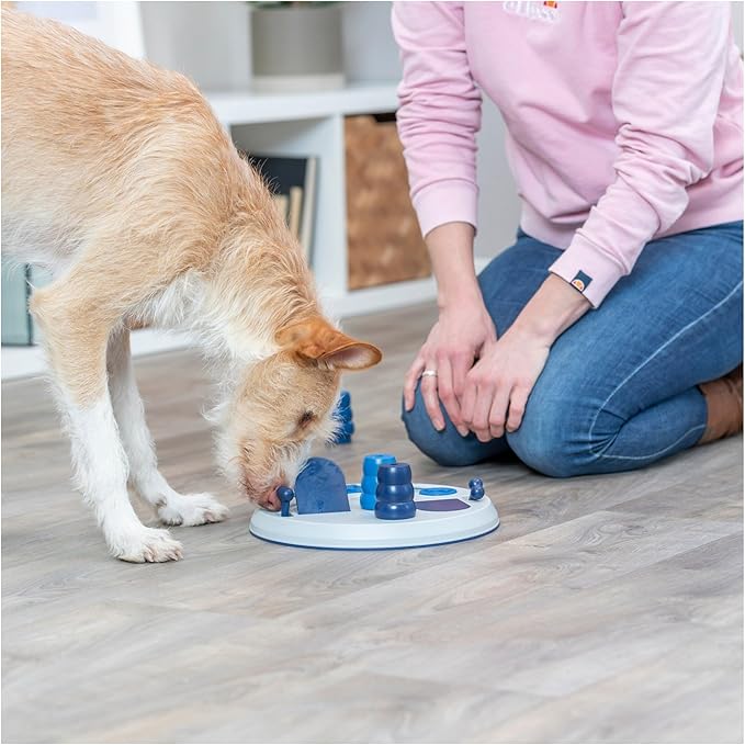 TRIXIE Flip Board XXL Dog Puzzle Toy 2) Strategy