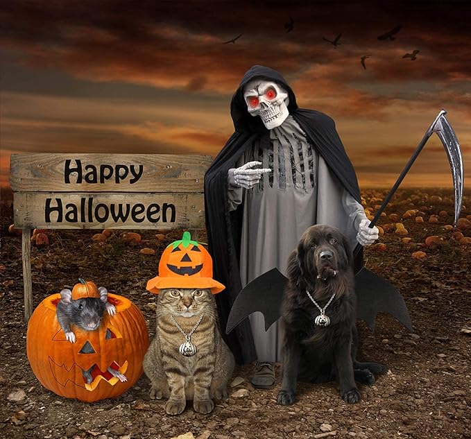 Rypet Dog Bat Costume