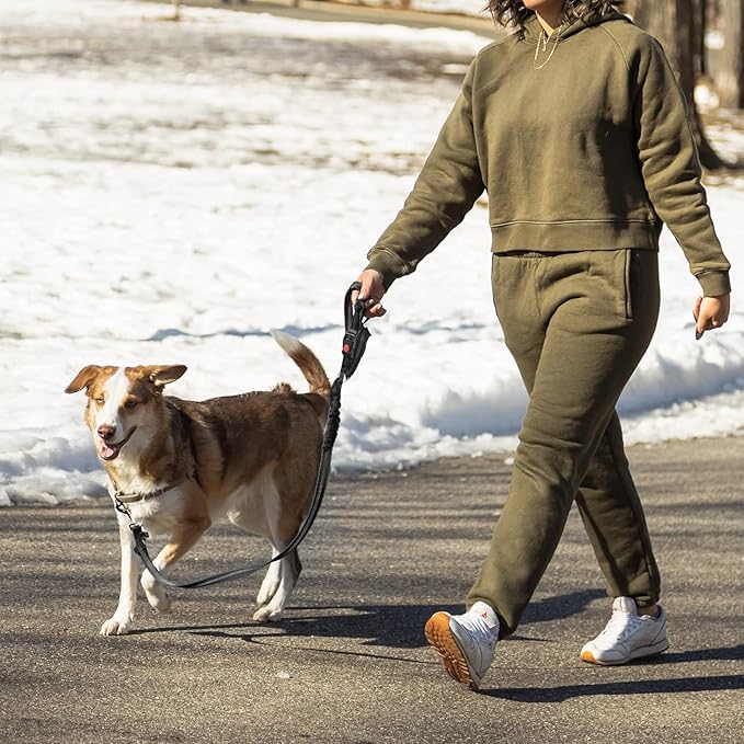 1 PCS Dog Cat Safety Seat Belt Strap