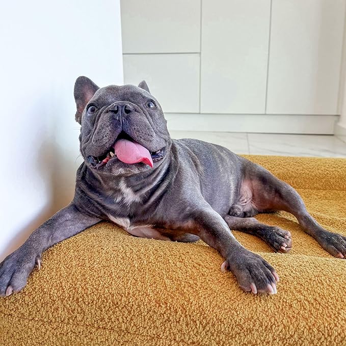 Replacement Cover Only (Beds Sold Separately)