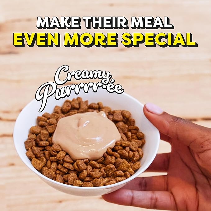 Temptations Creamy Puree Squeezable Lickable Wet Cat Treat with Cheese 0.42 oz. 16